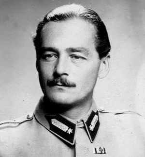 Wass Albert, az Adjátok vissza a hegyeimet! szerzője